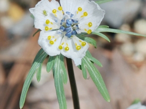 横山商店ギャラリー