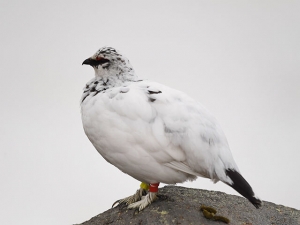 横山商店ギャラリー