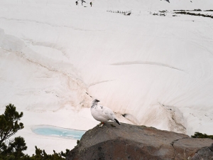 横山商店ギャラリー