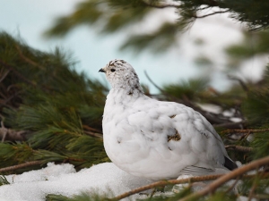 横山商店ギャラリー