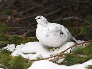 横山商店ギャラリー