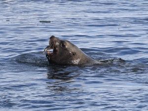 横山商店ギャラリー