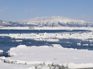 横山商店ギャラリー