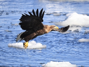 横山商店ギャラリー