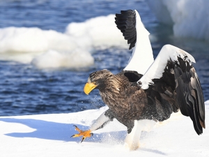 横山商店ギャラリー