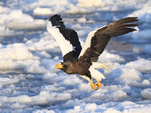 横山商店ギャラリー