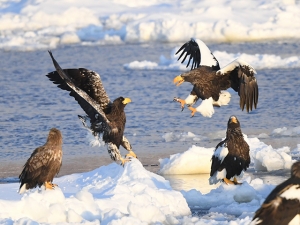 横山商店ギャラリー