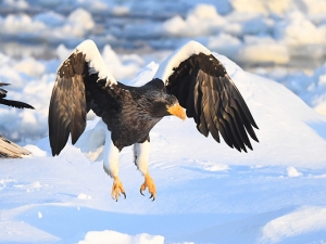横山商店ギャラリー