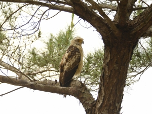 横山商店ギャラリー