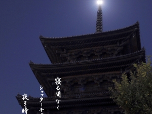 横山商店ギャラリー