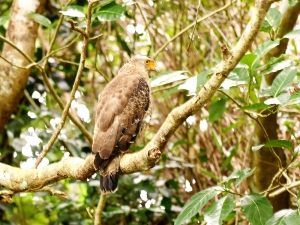 横山商店ギャラリー