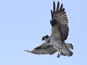 横山商店ギャラリー