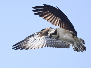 横山商店ギャラリー