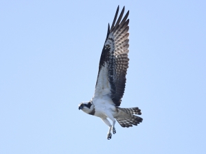 横山商店ギャラリー