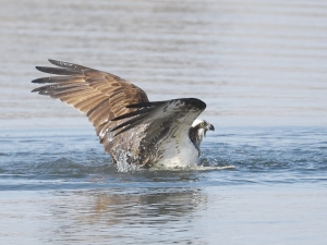 横山商店ギャラリー
