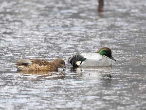横山商店ギャラリー