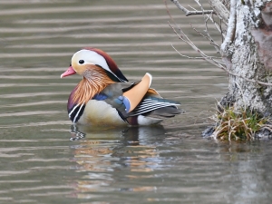横山商店ギャラリー
