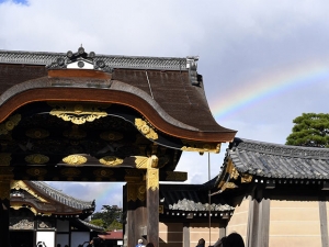 横山商店ギャラリー