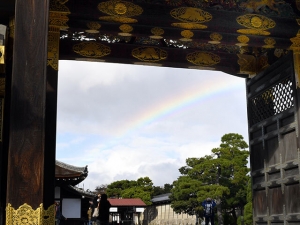 横山商店ギャラリー