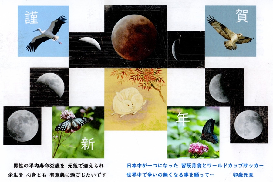 photo: ダミー